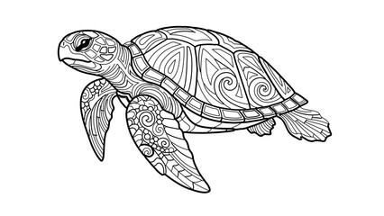 Fototapeta premium A black and white vector illustration of a turtle with intricate designs on its shell and body