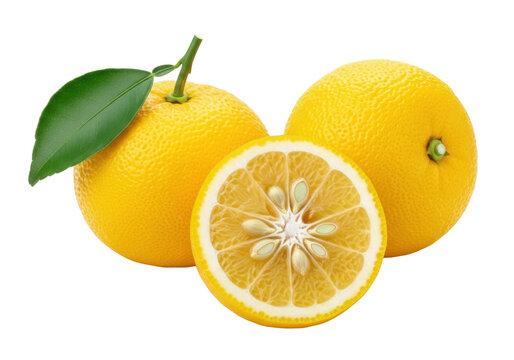 Three fresh yellow yuzu fruits, two whole (one with leaf), one half revealing its cut interior, on a transparent background with copy space, concept of natural freshness