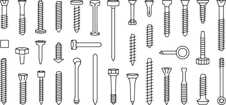 screw and bolt vector illustration of common fastener types