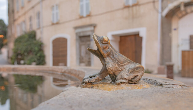 grenouille de la fontaine de l'Ile Rousse