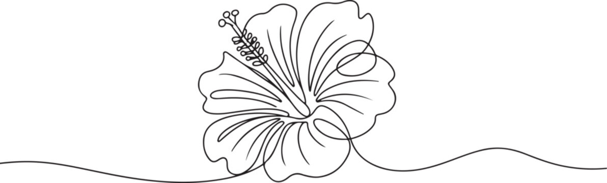 Continuous one line drawing of hibiscus flower. Rose mallow single outline vector design. one line Art icon drawing vector