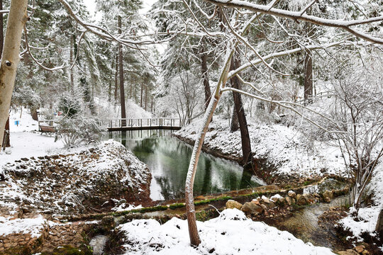 Snowy landscape with beautiful lake and wooden bridge in Sierra de Alcaraz