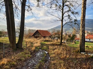path through the trees leading to the village