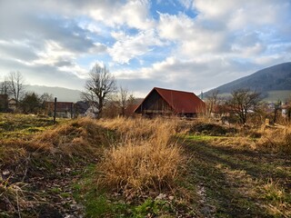 overgrown field path and a small house with a red roof