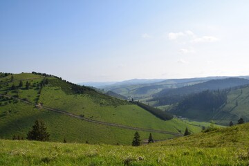 Fototapeta premium Scenic green Transylvania countryside in Romania with rolling hills and green meadow landscape. Peaceful rural scenery with lush grass, open fields and panoramic mountain valley views.