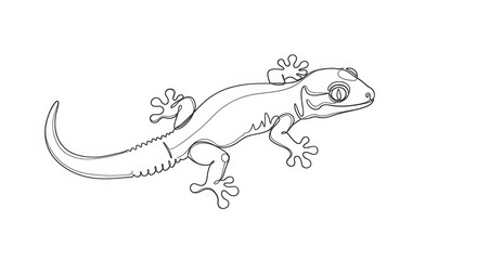 Gecko Line Art Illustration Outline Drawing