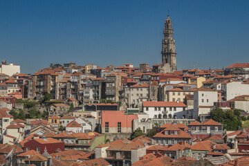 Obraz premium View of the traditional terracotta rooftops and dense urban architecture of Porto, featuring the Clerigos Tower under a clear blue sky. Historic cityscape in Portugal.