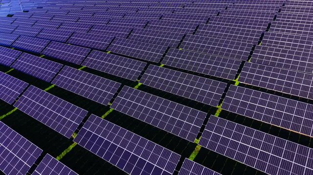 Top down aerial view rows of polycrystalline silicon solar modules. Dark blue photovoltaic panels installed on metal racks over green grass.