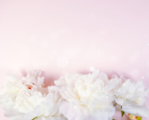 Fototapeta premium delicate pink blossoms with shiny accents, soft pink peony outline with glowing sparkles, graceful pink floral edging with radiant illuminated background and sparkling visual effects