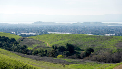 Obraz premium A serene springtime walk through the verdant, grass-covered slopes of Garin and Dry Creek Pioneer Regional Parks in Hayward, showcasing the East Bay's natural beauty after the winter rains.