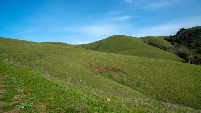 Hiking the scenic High Ridge Loop Trail in Garin Regional Park, offering spectacular views across the lush green rolling hills and out to the San Francisco Bay and surrounding areas.