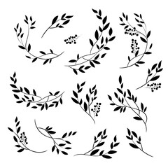 Fototapeta premium Botanical branches vector set, minimal floral line art leaves and twigs, elegant natural design elements
