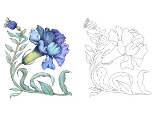 Fototapeta premium Watercolor carnation coloring page, linear and color version. 