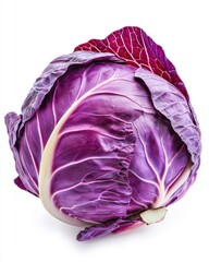 Obraz premium Fresh Organic Purple Cabbage Isolated on White Background