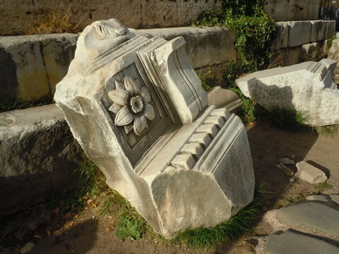 foro romano
colle palatino