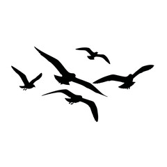Obraz premium Silhouette Flock of Seagulls Flying in Open Sky