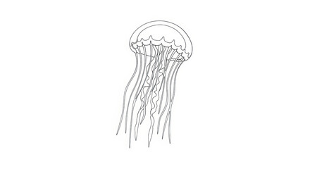 Minimalist Line Art Jellyfish Illustration: Elegant Marine Life Outline Drawing