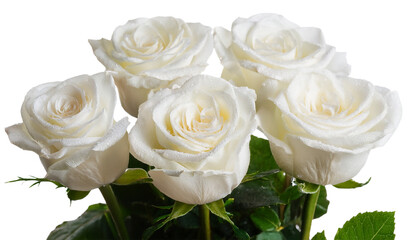 Bukiet białych r&oacute;ż, png