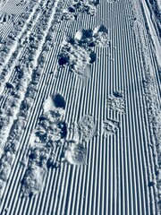 Snow trail
