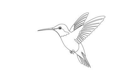 Fototapeta premium Minimalist Hummingbird Outline Drawing in Flight on White Background