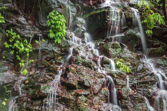Waterfall cascading down the rocky canyon slope in the rainforest of northern Bali, Indonesia. Plants clinging to the rocks. 
