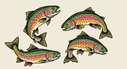 Hand-drawn vector illustration set of rainbow trout in various dynamic poses. Perfect for fishing graphics, apparel, t-shirt designs, stickers, and outdoor-themed designs 