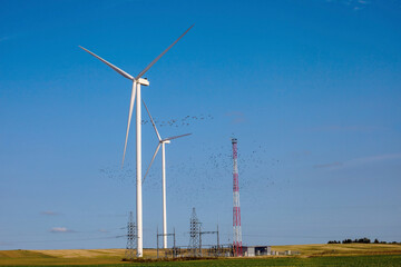 Wind turbine generators for sustainable electrical energy production. Landscape with windmills. Green energy concept