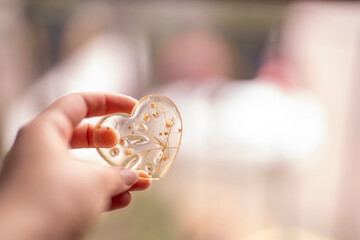 mano sosteniendo figura con forma de corazón transparente hecha de resina con ramitas decorativas