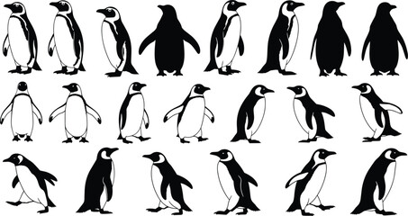 Penguin silhouettes collection in various standing and walking poses, arctic wildlife birds set, black and white animal illustration isolated on white background © MdNurIslam