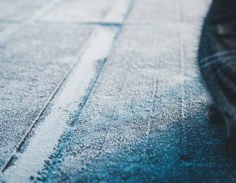 Minimal winter ground with distant cat silhouette