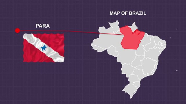 Para_Map_coloured_bg video footage animation showing geographic map visualization with smooth motion background suitable for presentations digital med