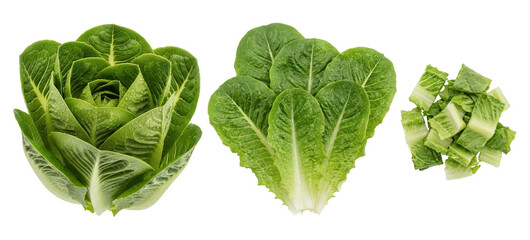 a composition of fresh romaine lettuce, including a whole head, separated leaves, and chopped pieces, set against a dark background for culinary and health-focused presentations. © Nadine