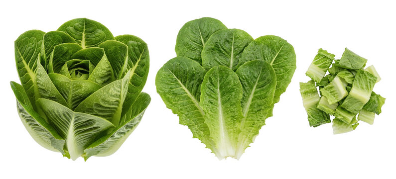a composition of fresh romaine lettuce, including a whole head, separated leaves, and chopped pieces, set against a dark background for culinary and health-focused presentations.