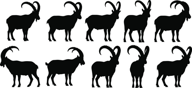 Mountain goat and ibex silhouettes set with curved horns showing wild alpine animals isolated on white background vector illustration