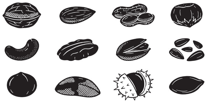 Collection of various nuts and seeds depicted in a simple, illustrative, black and white style, perfect for food-related designs.