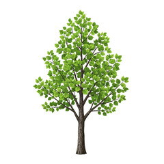 Obraz premium Vibrant Green Tree With Lush Foliage Standalone Illustration.