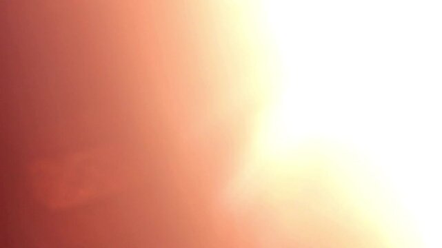 Best cinematic light transitions with flare for sunny summer video