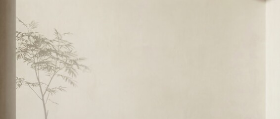 Minimalist shadow of delicate tree branches on textured beige wall