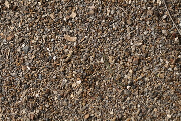 Gravel Stone Ground Texture Background