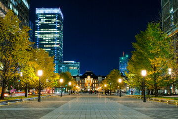 東京駅　行幸通り