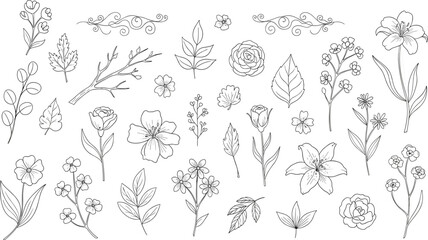 Botanical silhouette icons, floral and leaf symbols, vector illustration, black design, minimal layout, nature graphics, decorative elements