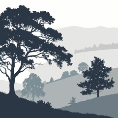 Serene landscape with tall trees