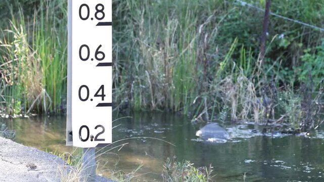 Close Up of Water Level Gauge in a Forest Stream
