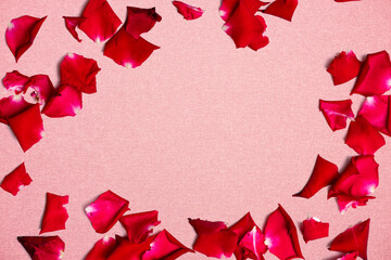 photo of red rose petal with pink background  taken with a high-resolution camera using the focus-stacking technique on a white background.