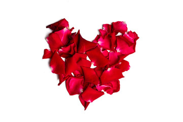 A photo of red rose petal with white background  taken with a high-resolution camera