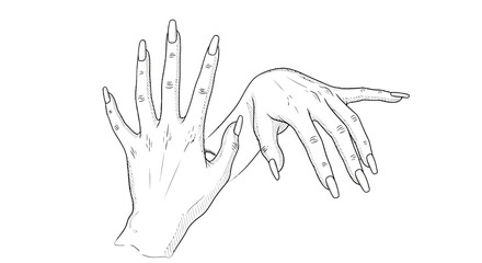 Obraz premium Detailed line drawing of two hands with fingers outstretched and pointing.