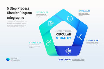 5 Step Process Circular Diagram infographic