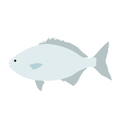 Obraz premium A simple, stylized illustration of a light blue-grey fish with darker fins, depicted in profile.