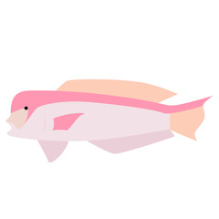 A stylized illustration of a pink and light pink fish with peach fins on a white background.