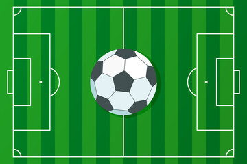 Soccer pitch, sport scenery game frame, layout of match game and grass texture